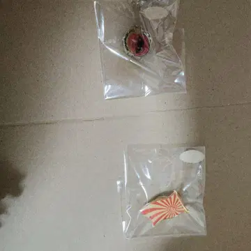 시이나 링고 핀 배지 2개 2010 사에즈리 등