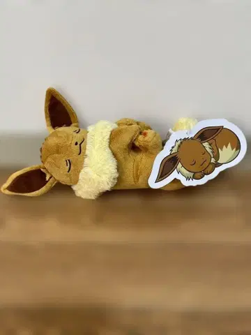 [미사용 새상품!] 포켓몬 센터 오리지널 오히루네 이브이 2