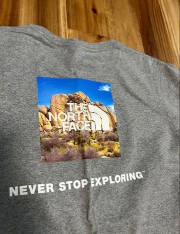 THE NORTH FACE 그레이 반팔T셔츠