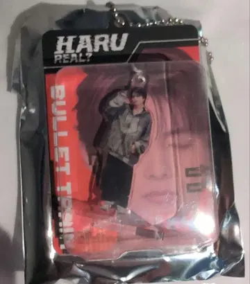 초특급 블리스터 키링 하루