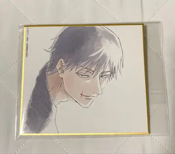 주술회전전 미니 색지 회옥옥절 후시구로 진지