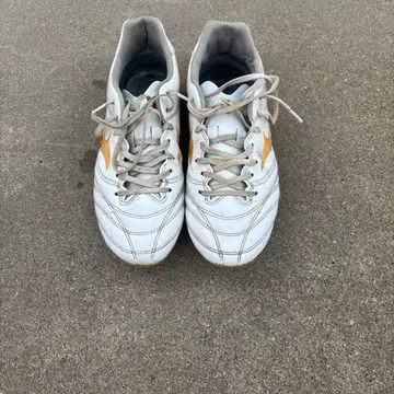 미즈노 모나르시다 네오