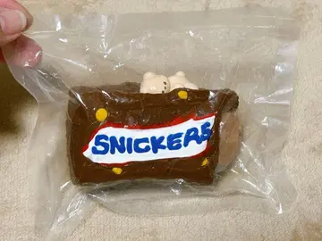 해외 스퀴즈 중고 스니커즈