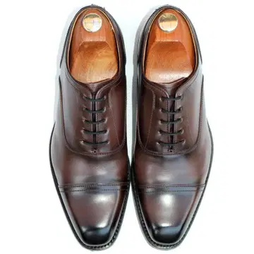 고품질 REGAL 스트레이트 팁 브라운 비즈니스 드레스 신발 일본제