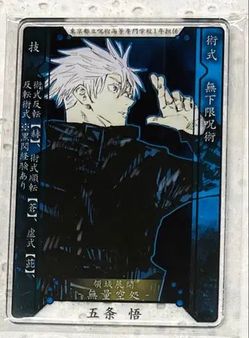 주술회전 스탯 카드 컬렉션 고죠 사토루