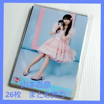 새상품급 =LOVE/이퀄러브/이코러브/야마모토 안나/묶음 판매/브로마이드