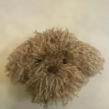 토이 푸들 파우치