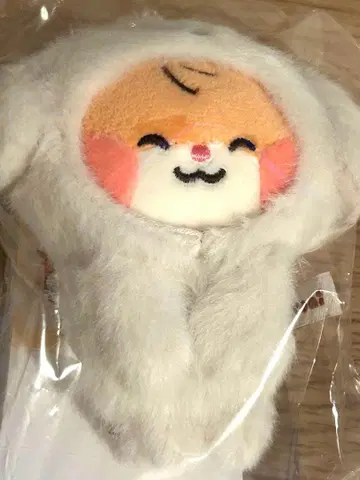 한빈 zeroni  마그넷 사진 홀더 비니니 ZB1