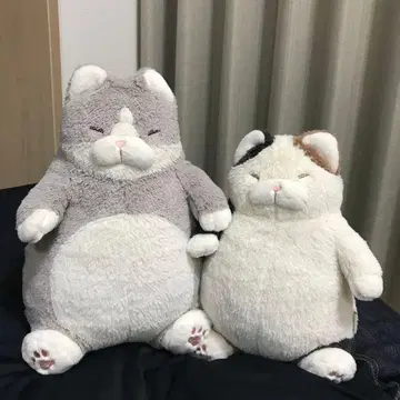 고양이 긍정감 봉제 인형 세트