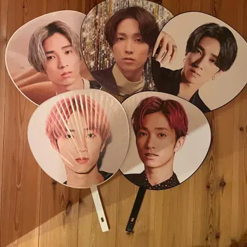 다나카 주 부채 5장 세트