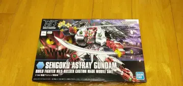 HG 1/144 전국 아스트레이 건담