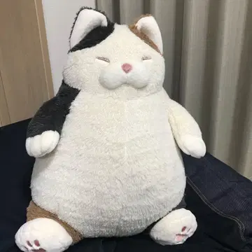 고양이 긍정감 봉제 인형