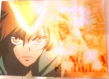 리본 사와다 츠나요시 미니 클리어 파일 봉고레 페스티벌 2011