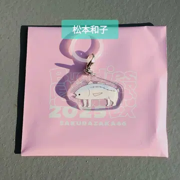 마츠모토 카즈코 메지루시 참