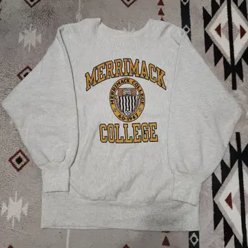 USA제 챔피온 리버스 위브 XL 잉크 프린트 XL