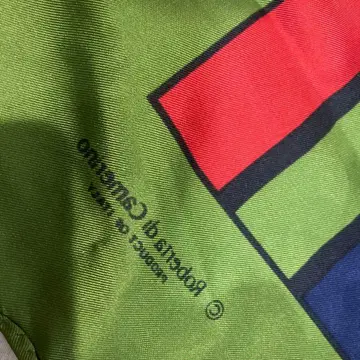 로베르타 카메리노