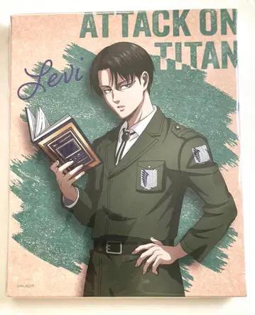 진격의 거인 리바이 캔버스 보드 핸즈