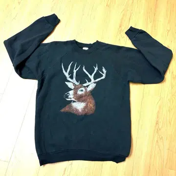 프룻 오브 더 룸 빈티지