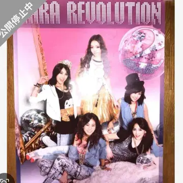 KARA revolution 2 포스터