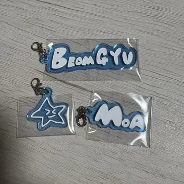 TXT 아크릴 참 범규 세트