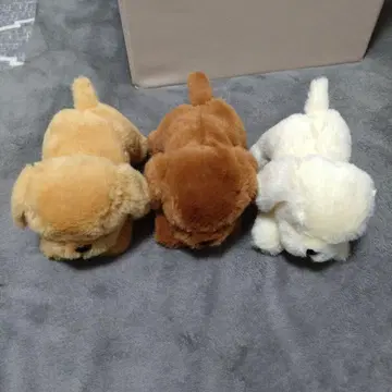 골든 리트리버 모미지의 아이들 전 3종 세트 봉제 인형