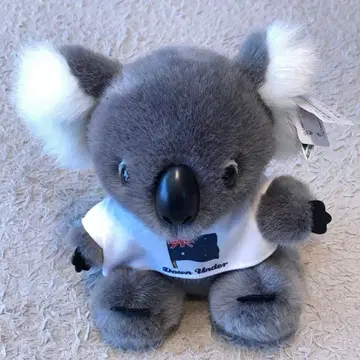 [ 호주산 ] 코알라 봉제 인형 기념품