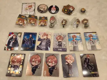 컬러풀 피치 우리 씨 묶음 판매