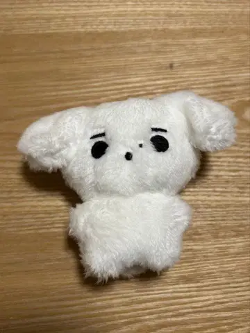 ENHYPEN 성훈 봉제 인형