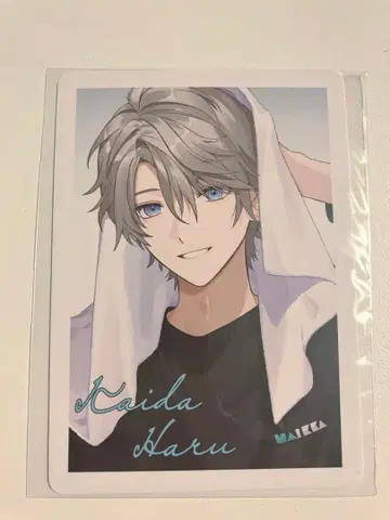 카이다 하루 츠마루 폴라로이드