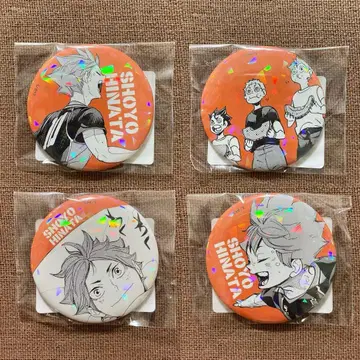 하이큐 올스타 캔뱃지 쓰레기장의 결전 히나타 쇼요