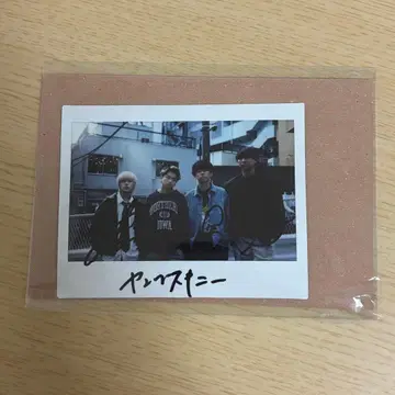 영 스키니 사인 폴라로이드