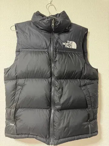 THE NORTH FACE 1996 레트로 눕시 다운