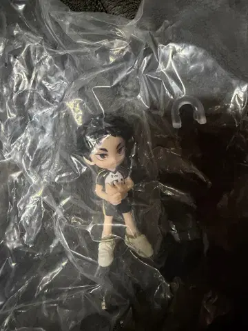 하이큐 파르베르 피규어 아카아시 아카아시 케이지