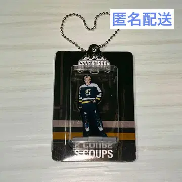 SEVENTEEN HOME 에스크프스 아크릴 키링