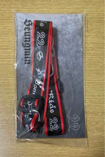 straykids 승민 넥스트랩 dominATE