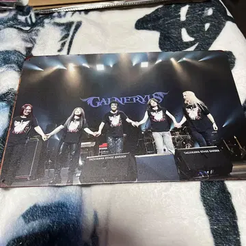 GALNERYUS 라이브 사진 멤버 양철 간판