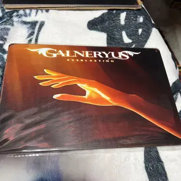 GALNERYUS EVERLASTING 양철 간판