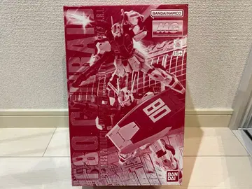 MG 1/100 F80 건레드