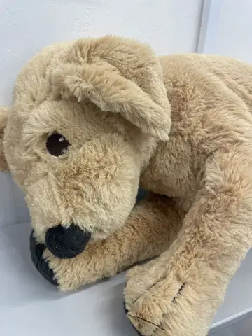 IKEA 이케아 골든 리트리버 봉제 인형 미사용 강아지