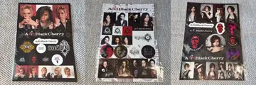 Acid Black Cherry 스티커 2012 Re:birth 새상품
