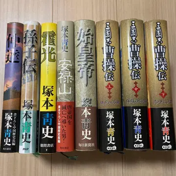 중달/손자전/곽광/안록산/시황제/삼국지 조조전