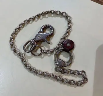 페리지 지갑 체인