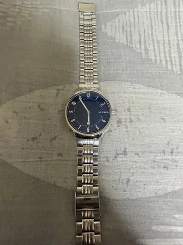 SKAGEN 스카겐 SKW6457