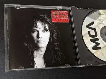 앤디 테일러, Andy Taylor