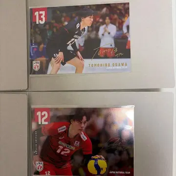 남자 배구 가샤폰 엽서 12장 세트