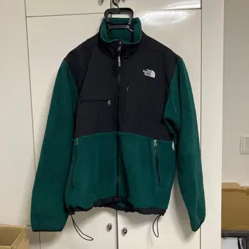 THE NORTH FACE 데날리 M 사이즈 그린/블랙