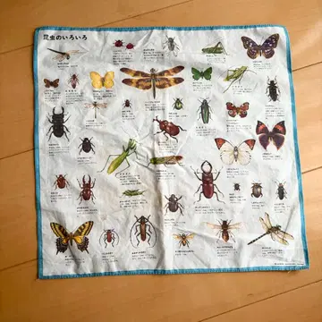 다양한 곤충 손수건 쇼와 레트로 곤충 도감