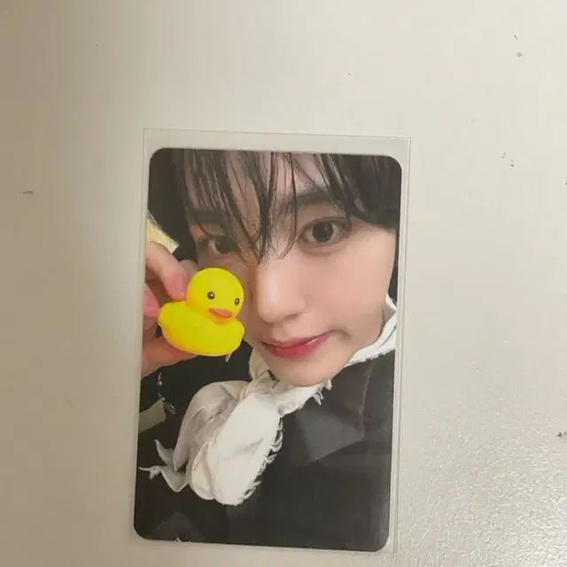 제로베이스원 제베원 zb1 한유진 유진 블루 앨범 앨포 미공포 포카 특전