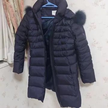 dexsept 다운 네이비