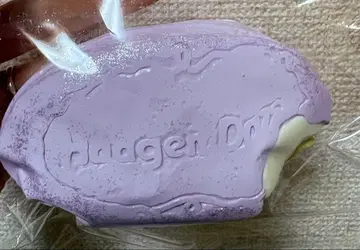 해외 스퀴즈 하겐다즈